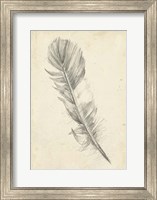 Feather Sketch I Fine Art Print