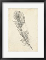 Feather Sketch I Fine Art Print