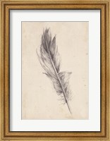 Feather Sketch IV Fine Art Print