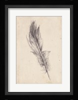 Feather Sketch IV Fine Art Print