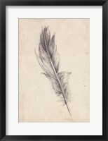 Feather Sketch IV Fine Art Print