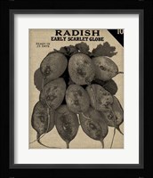 Vintage Seed Pack I Framed Print