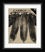Vintage Seed Pack II Framed Print