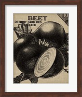 Vintage Seed Pack III Fine Art Print