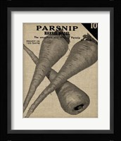 Vintage Seed Pack IV Framed Print