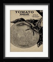 Vintage Seed Pack V Framed Print