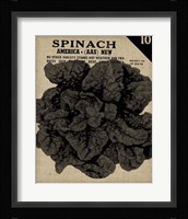 Vintage Seed Pack VI Framed Print