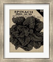 Vintage Seed Pack VI Fine Art Print
