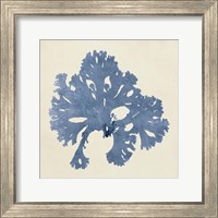 Chromatic Seaweed V Fine Art Print