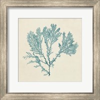 Chromatic Seaweed VIII Fine Art Print
