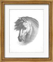 Equestrian Blueprint I Fine Art Print