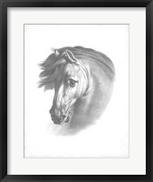 Equestrian Blueprint I Fine Art Print