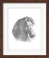 Equestrian Blueprint II Fine Art Print