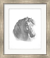 Equestrian Blueprint II Fine Art Print