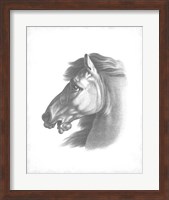 Equestrian Blueprint III Fine Art Print