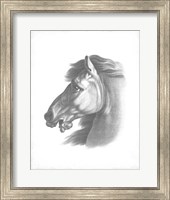 Equestrian Blueprint III Fine Art Print