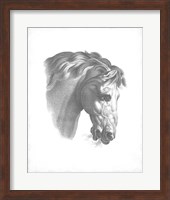 Equestrian Blueprint IV Fine Art Print