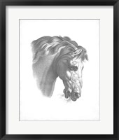 Equestrian Blueprint IV Fine Art Print