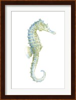 Watercolor Seahorse I Fine Art Print