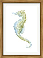 Watercolor Seahorse II Fine Art Print