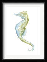 Watercolor Seahorse II Framed Print