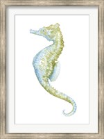 Watercolor Seahorse II Fine Art Print