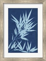 Cyanotype No.1 Fine Art Print