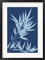 Cyanotype No.1 Fine Art Print