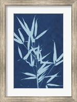 Cyanotype No.2 Fine Art Print