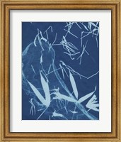 Cyanotype No.5 Fine Art Print