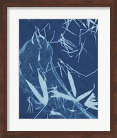 Cyanotype No.5 Fine Art Print