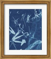Cyanotype No.6 Fine Art Print