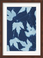 Cyanotype No.10 Fine Art Print
