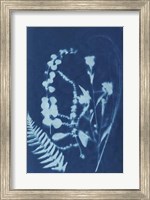 Cyanotype No.16 Fine Art Print
