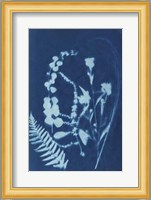 Cyanotype No.16 Fine Art Print