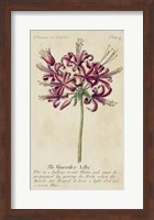 Gardener's Guide VII Fine Art Print