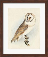 Meyer Barn Owl Fine Art Print