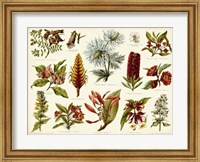 Tropical Botany Chart I Fine Art Print