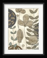 Garden Contours II Framed Print