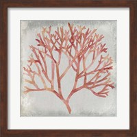 Watercolor Coral IV Fine Art Print