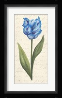 Twin Tulips IV Fine Art Print