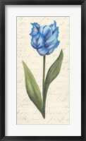 Twin Tulips IV Fine Art Print