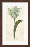 Twin Tulips V Fine Art Print
