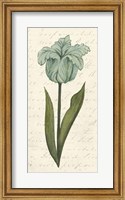 Twin Tulips VI Fine Art Print