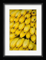 Oman, Dhofar Region, Salalah. Local bananas for Sale Fine Art Print