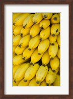 Oman, Dhofar Region, Salalah. Local bananas for Sale Fine Art Print