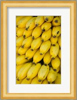 Oman, Dhofar Region, Salalah. Local bananas for Sale Fine Art Print