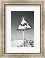 Qatar, Al Zubarah. Camel Crossing Sign-Road to Al-Zubarah NW Qatar Fine Art Print