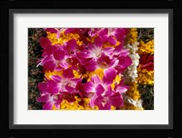 Asia, Singapore. Flowers for sale Fine Art Print