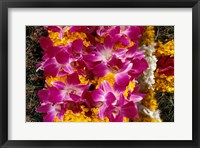 Asia, Singapore. Flowers for sale Fine Art Print